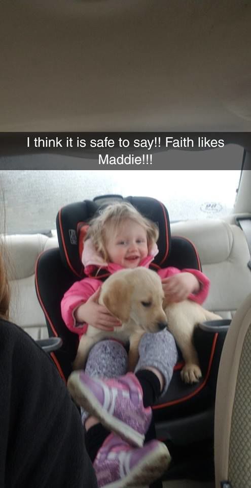 Maddie - Abbie Anderson.jpg